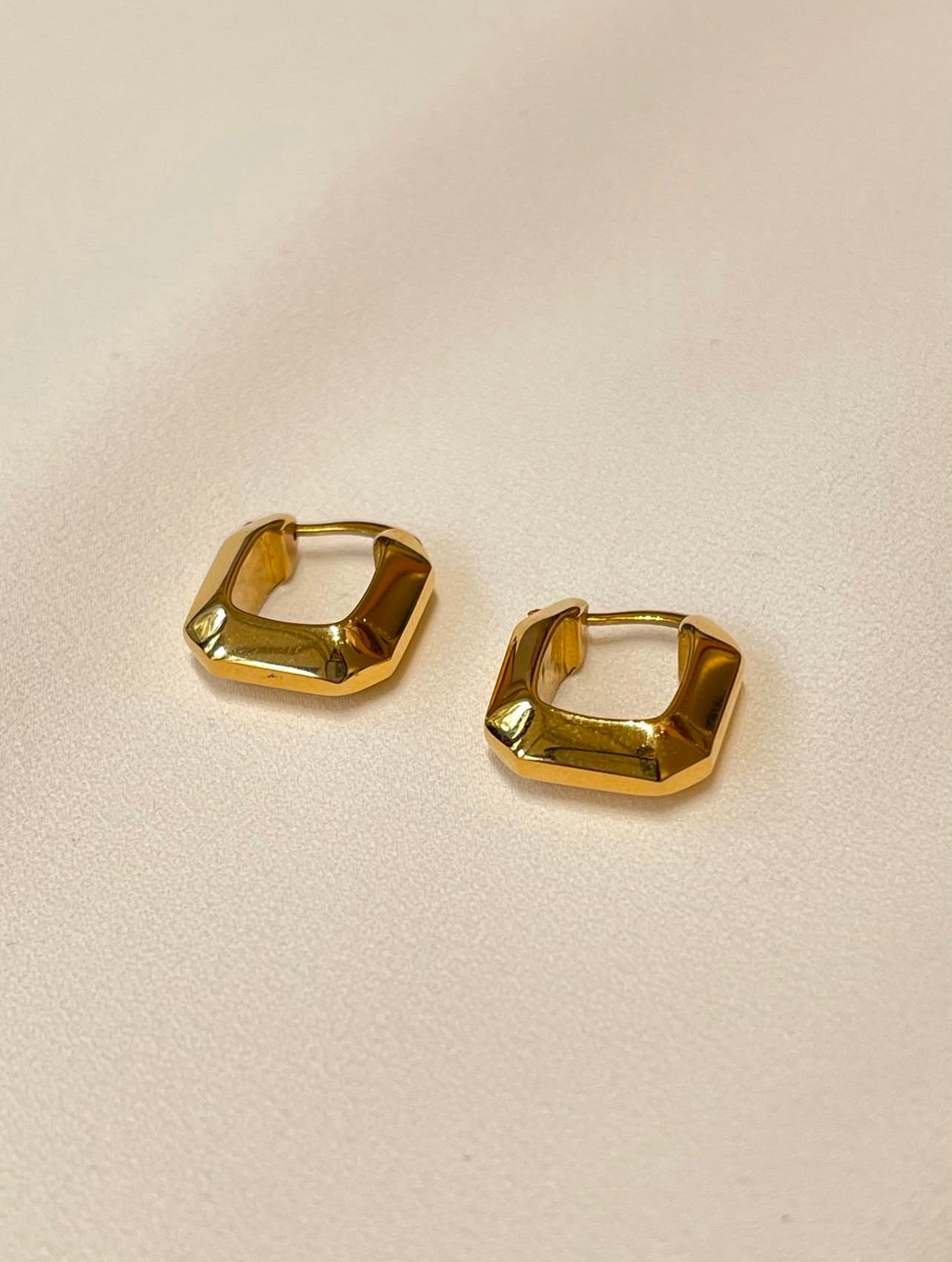 Sammeul earring
