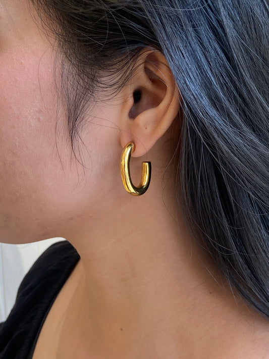 Bigliv earrings