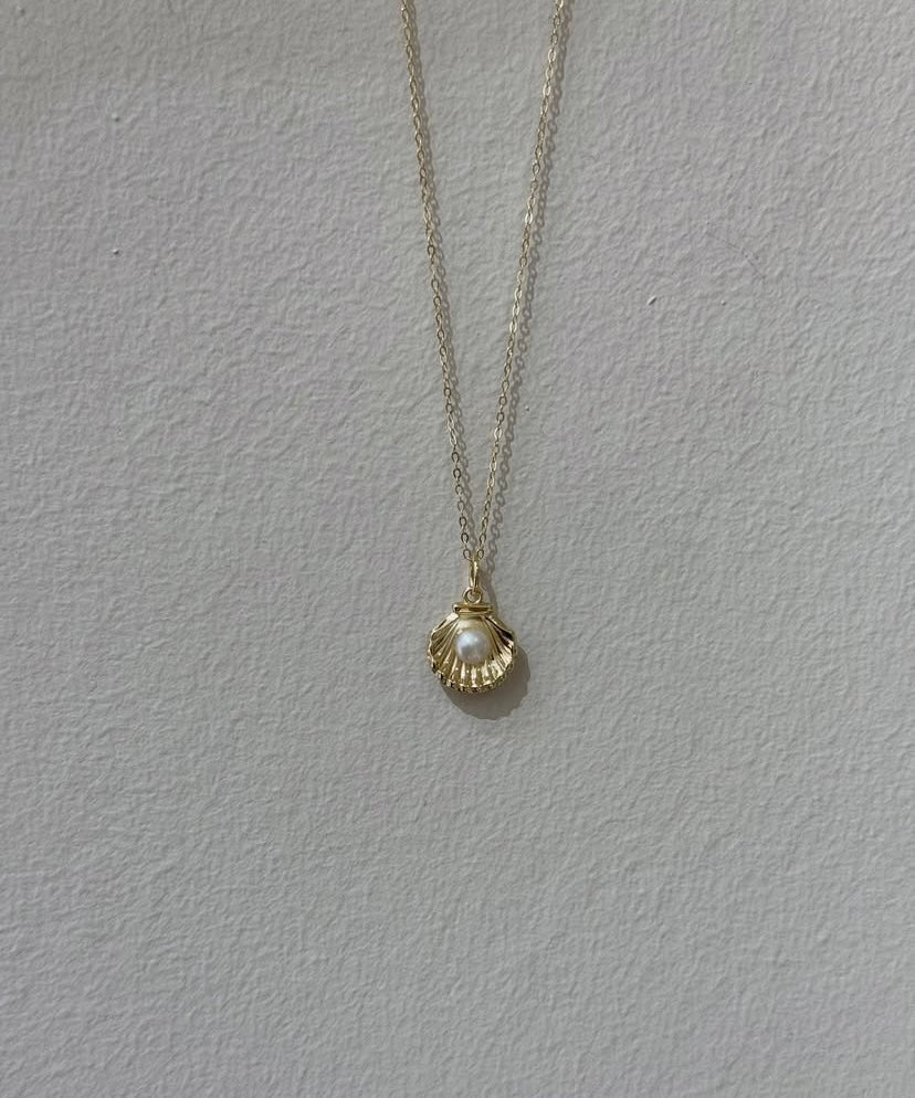 Sv shell pearl
